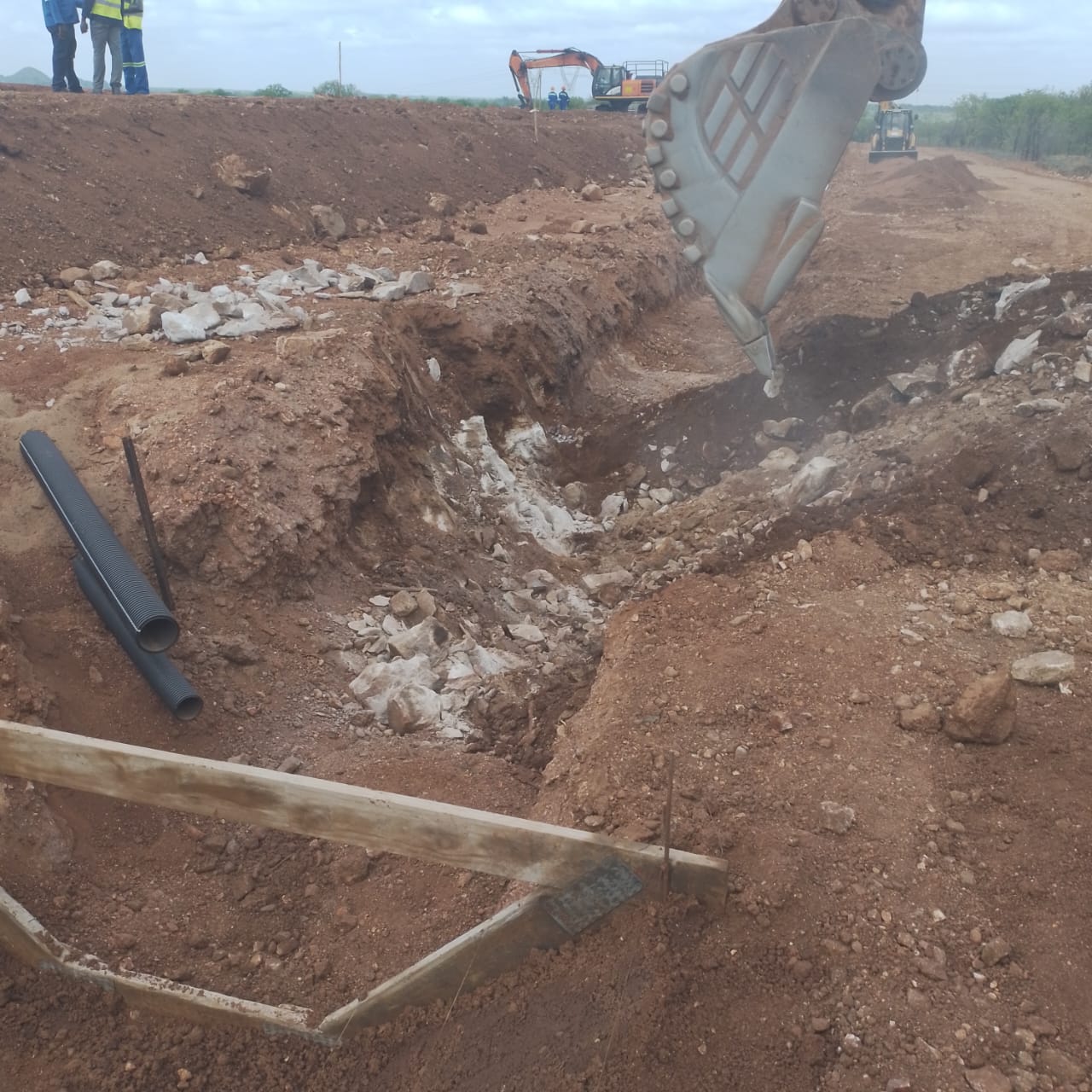 Plant on site